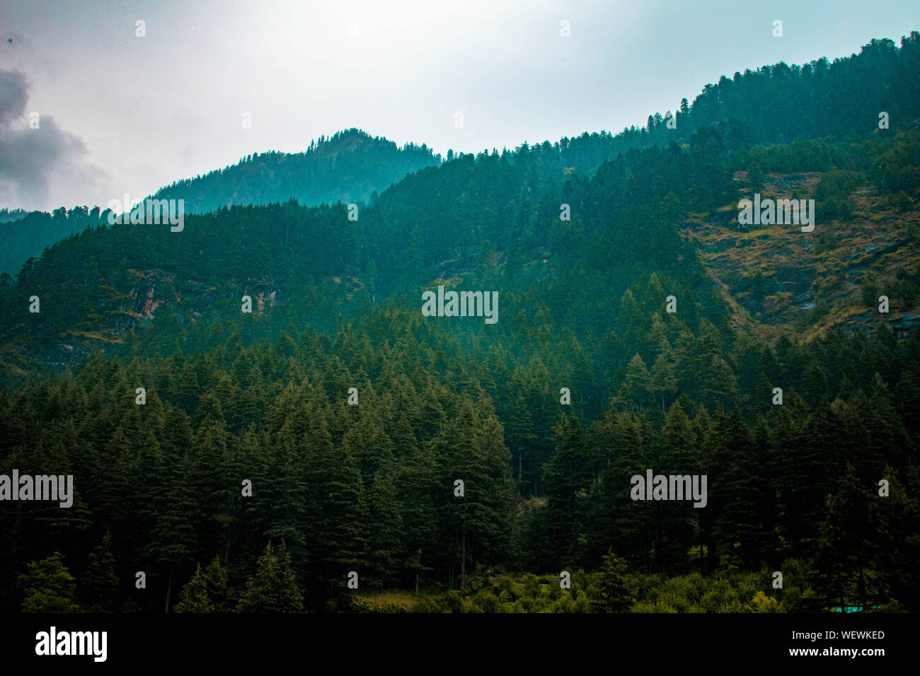 La Grande Charte verte des chaînes de montagnes. Entouré de sommets des plantes vertes et un fond de ciel bleu. Très semblables à ceux trouvés dans les Himalaya et Western Ghats Banque D'Images