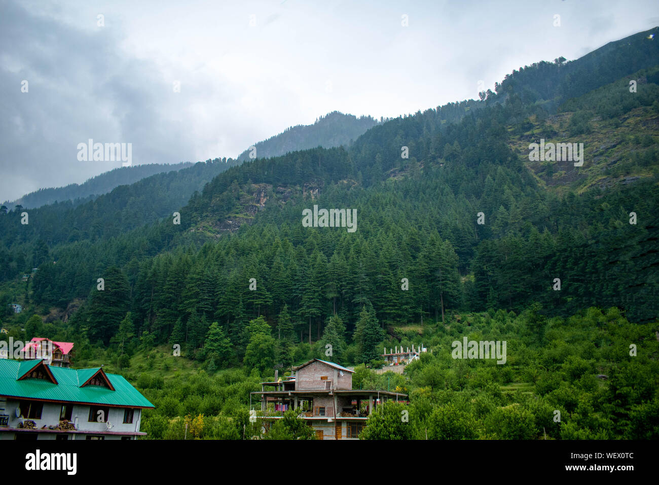 La Grande Charte verte des chaînes de montagnes. Entouré de sommets des plantes vertes et un fond de ciel bleu. Très semblables à ceux trouvés dans les Himalaya et Western Ghats Banque D'Images