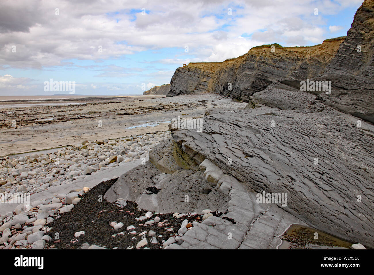 Les falaises de Kilve plage près de East Quantoxhead à Somerset, Angleterre. Des couches de roches stratifiées remontent à l'ère jurassique et sont un paradis pour f Banque D'Images