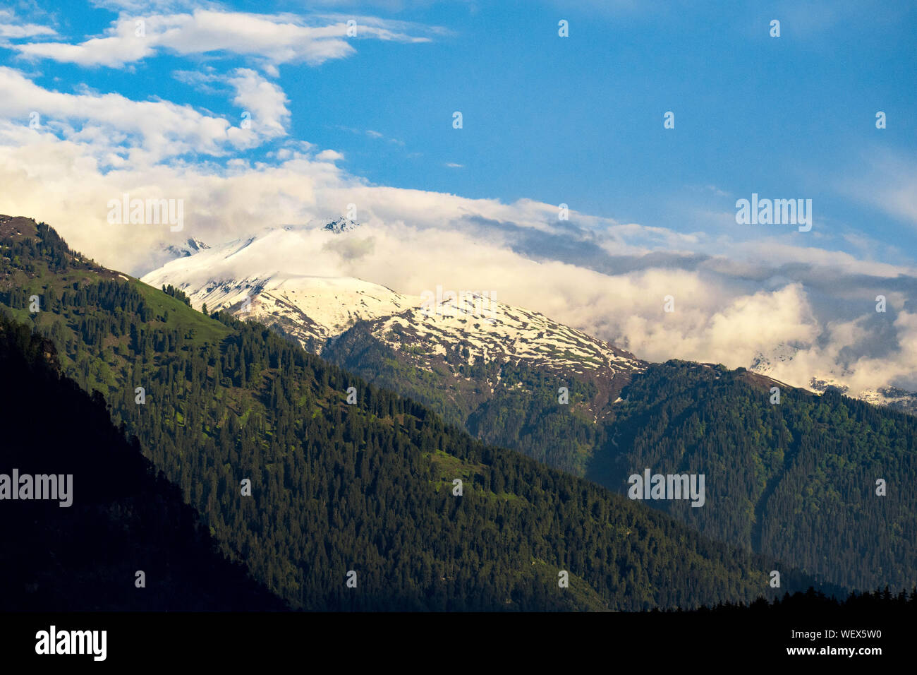 La Grande Charte verte des chaînes de montagnes. Entouré de sommets des plantes vertes et un fond de ciel bleu. Très semblables à ceux trouvés dans les Himalaya et Western Ghats Banque D'Images