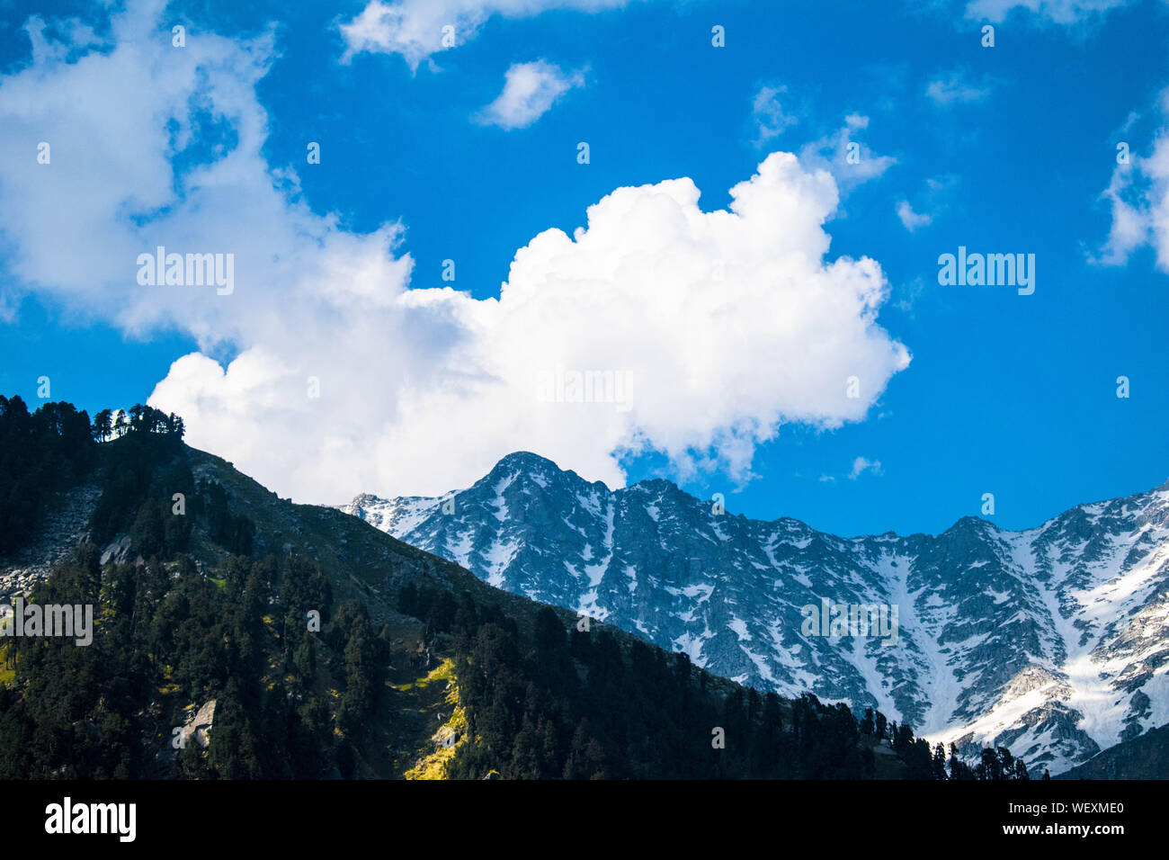 La Grande Charte verte des chaînes de montagnes. Entouré de sommets des plantes vertes et un fond de ciel bleu. Très semblables à ceux trouvés dans les Himalaya et Western Ghats Banque D'Images