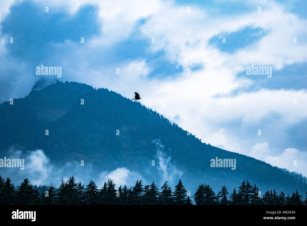 La Grande Charte verte des chaînes de montagnes. Entouré de sommets des plantes vertes et un fond de ciel bleu. Très semblables à ceux trouvés dans les Himalaya et Western Ghats Banque D'Images