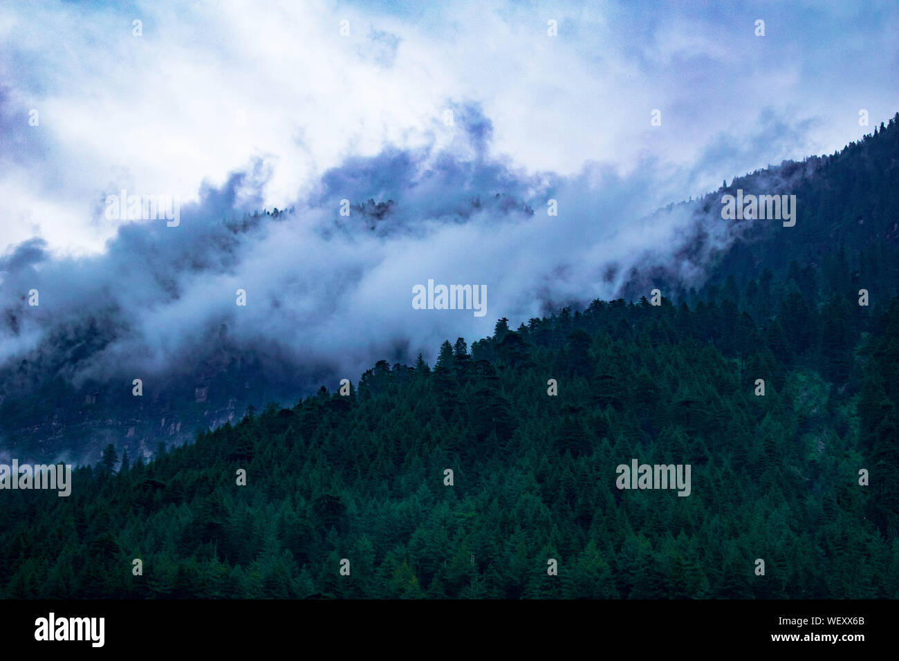 La Grande Charte verte des chaînes de montagnes. Entouré de sommets des plantes vertes et un fond de ciel bleu. Très semblables à ceux trouvés dans les Himalaya et Western Ghats Banque D'Images