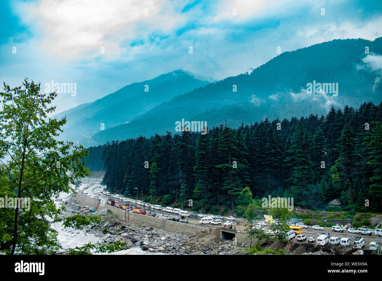 La Grande Charte verte des chaînes de montagnes. Entouré de sommets des plantes vertes et un fond de ciel bleu. Très semblables à ceux trouvés dans les Himalaya et Western Ghats Banque D'Images