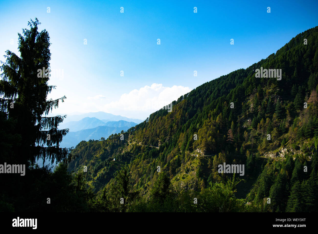 La Grande Charte verte des chaînes de montagnes. Entouré de sommets des plantes vertes et un fond de ciel bleu. Très semblables à ceux trouvés dans les Himalaya et Western Ghats Banque D'Images