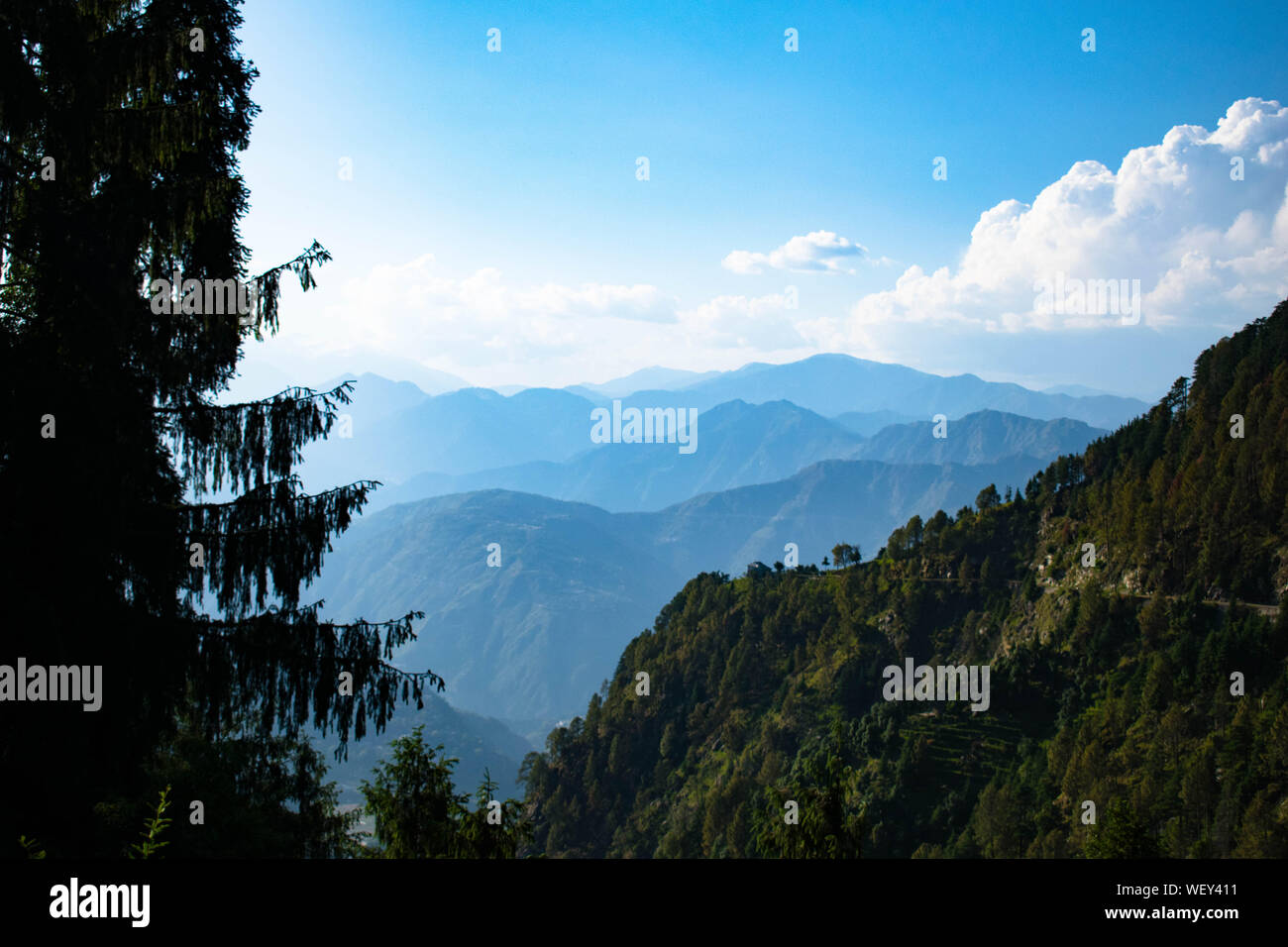 La Grande Charte verte des chaînes de montagnes. Entouré de sommets des plantes vertes et un fond de ciel bleu. Très semblables à ceux trouvés dans les Himalaya et Western Ghats Banque D'Images