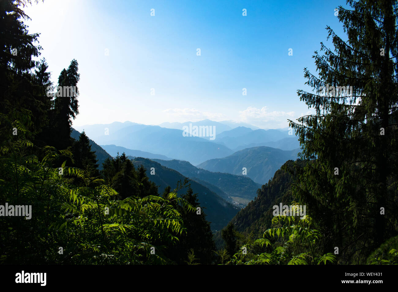 La Grande Charte verte des chaînes de montagnes. Entouré de sommets des plantes vertes et un fond de ciel bleu. Très semblables à ceux trouvés dans les Himalaya et Western Ghats Banque D'Images