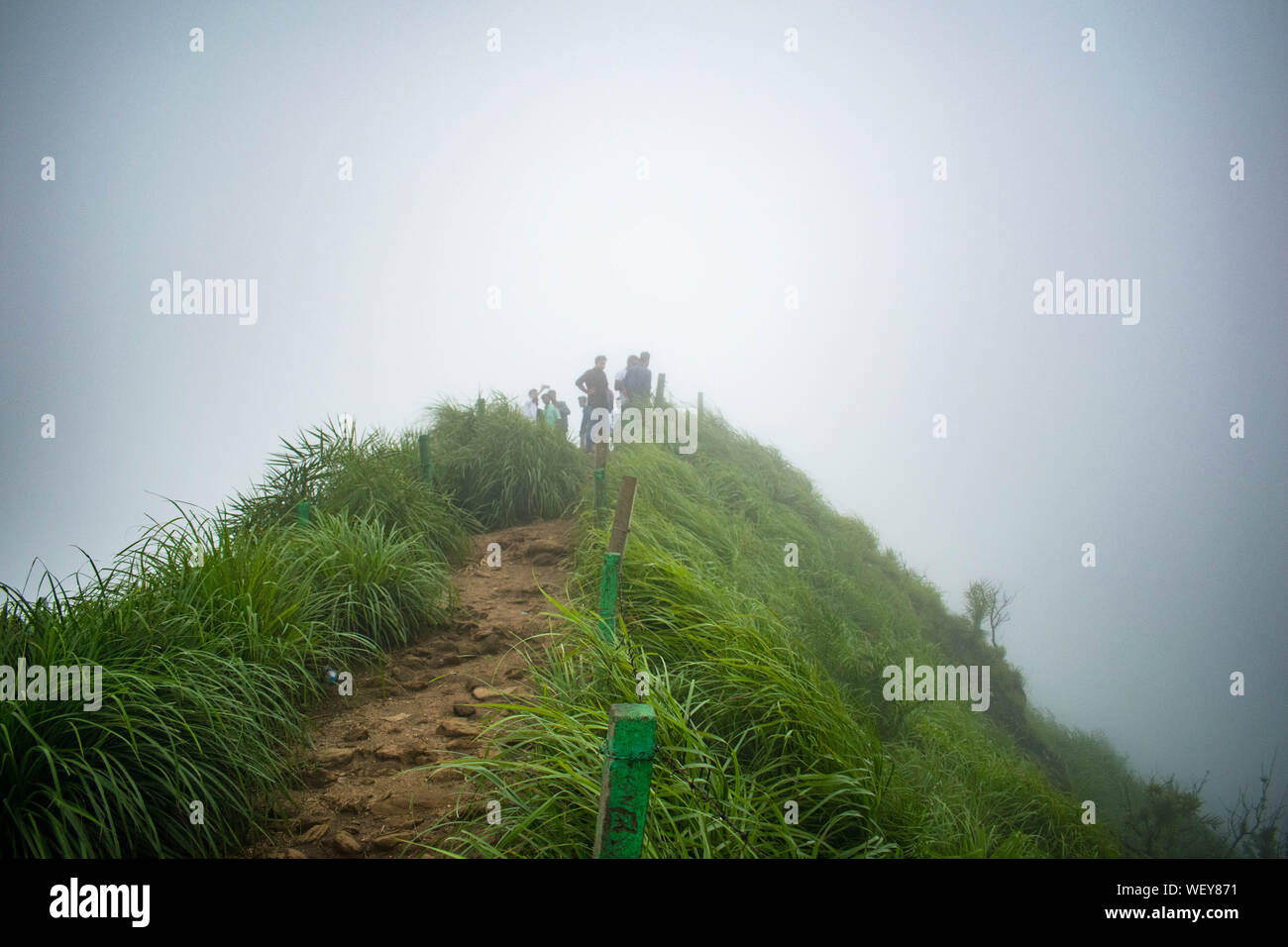 La Grande Charte verte des chaînes de montagnes. Entouré de sommets des plantes vertes et un fond de ciel bleu. Très semblables à ceux trouvés dans les Himalaya et Western Ghats Banque D'Images
