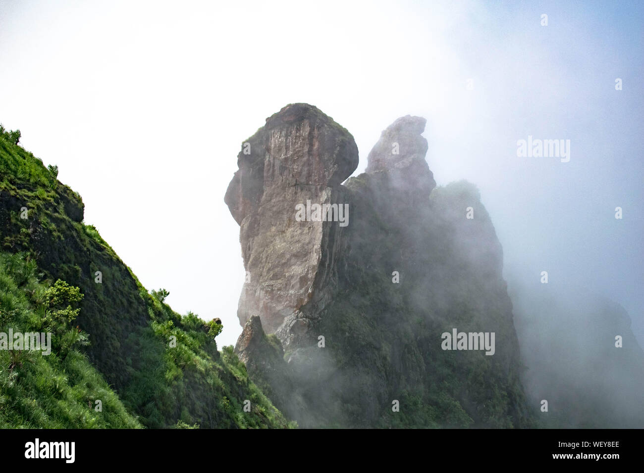 La Grande Charte verte des chaînes de montagnes. Entouré de sommets des plantes vertes et un fond de ciel bleu. Rock formation dans les Ghāts occidentaux Banque D'Images