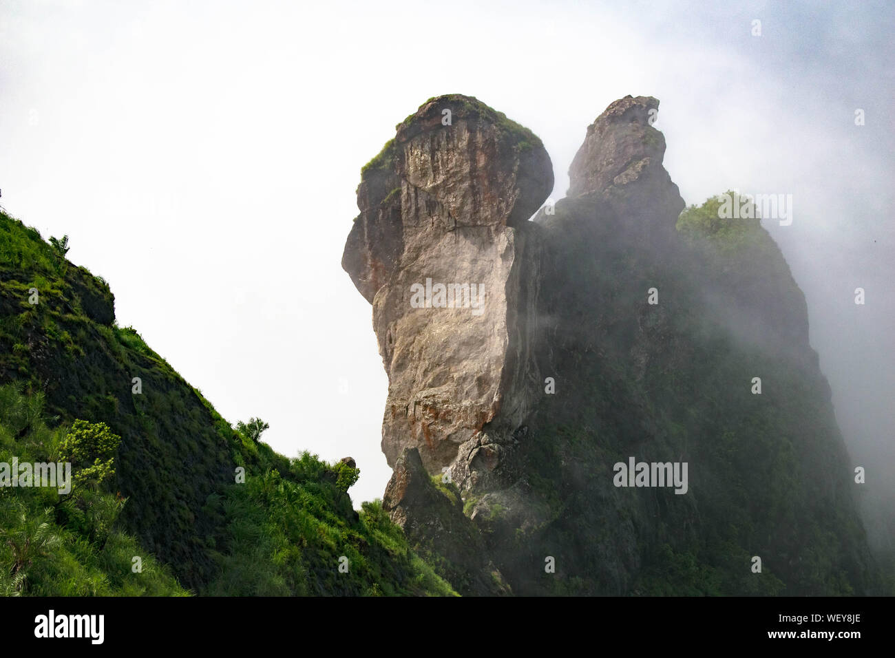 La Grande Charte verte des chaînes de montagnes. Entouré de sommets des plantes vertes et un fond de ciel bleu. Rock formation dans les Ghāts occidentaux Banque D'Images