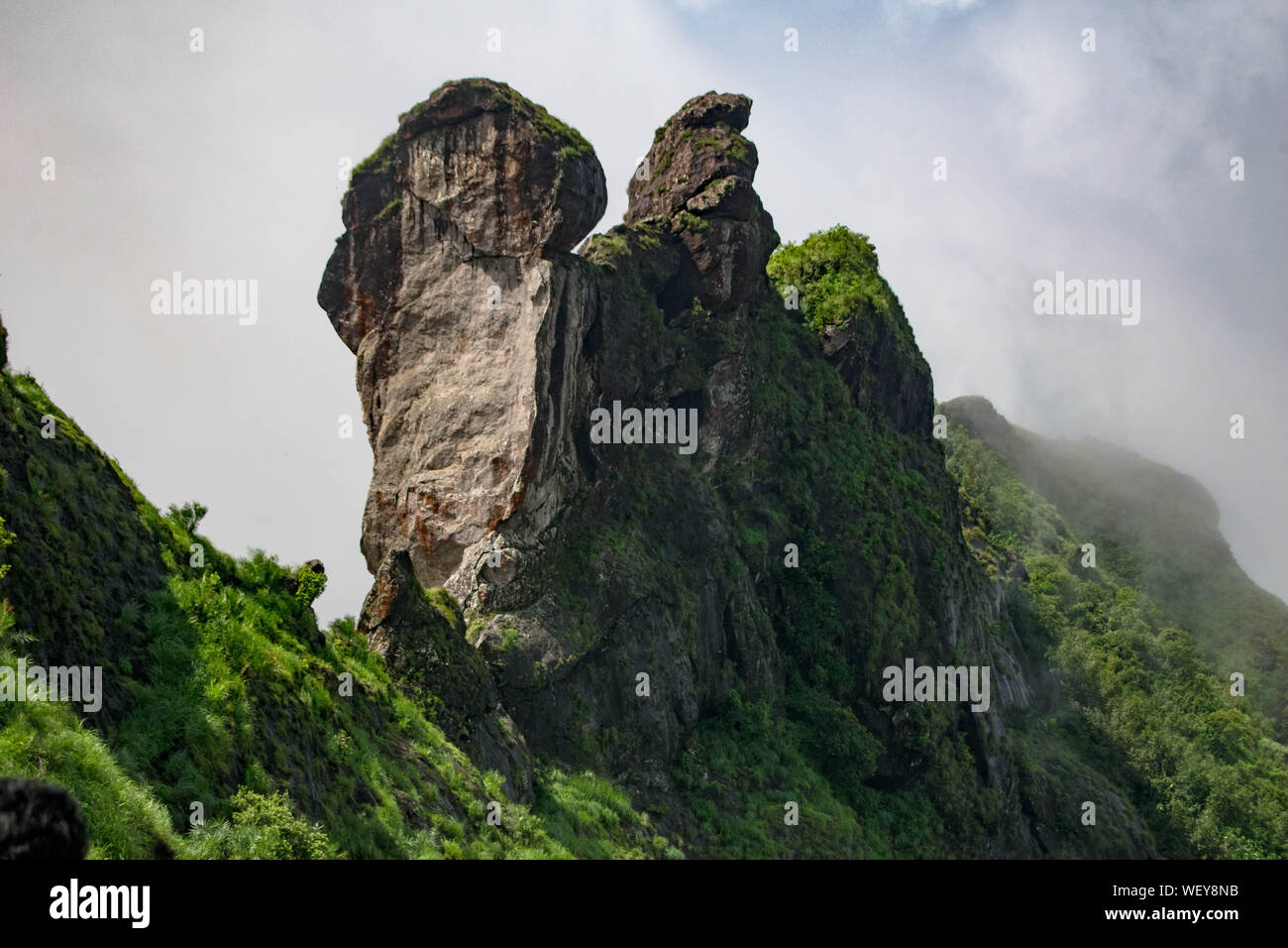 La Grande Charte verte des chaînes de montagnes. Entouré de sommets des plantes vertes et un fond de ciel bleu. Rock formation dans les Ghāts occidentaux Banque D'Images