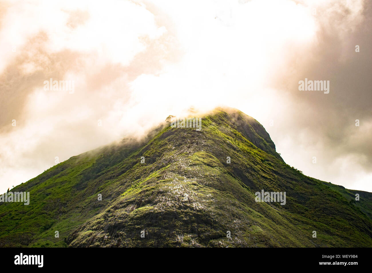 La Grande Charte verte des chaînes de montagnes. Entouré de sommets des plantes vertes et un fond de ciel bleu. Très semblables à ceux trouvés dans les Himalaya et Western Ghats Banque D'Images