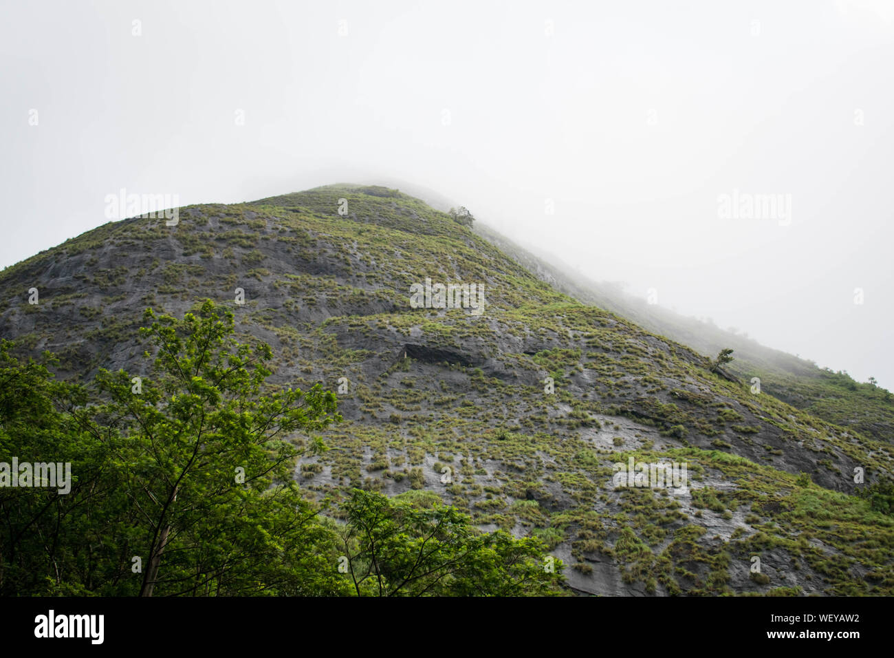 La Grande Charte verte des chaînes de montagnes. Entouré de sommets des plantes vertes et un fond de ciel bleu. Très semblables à ceux trouvés dans les Himalaya et Western Ghats Banque D'Images