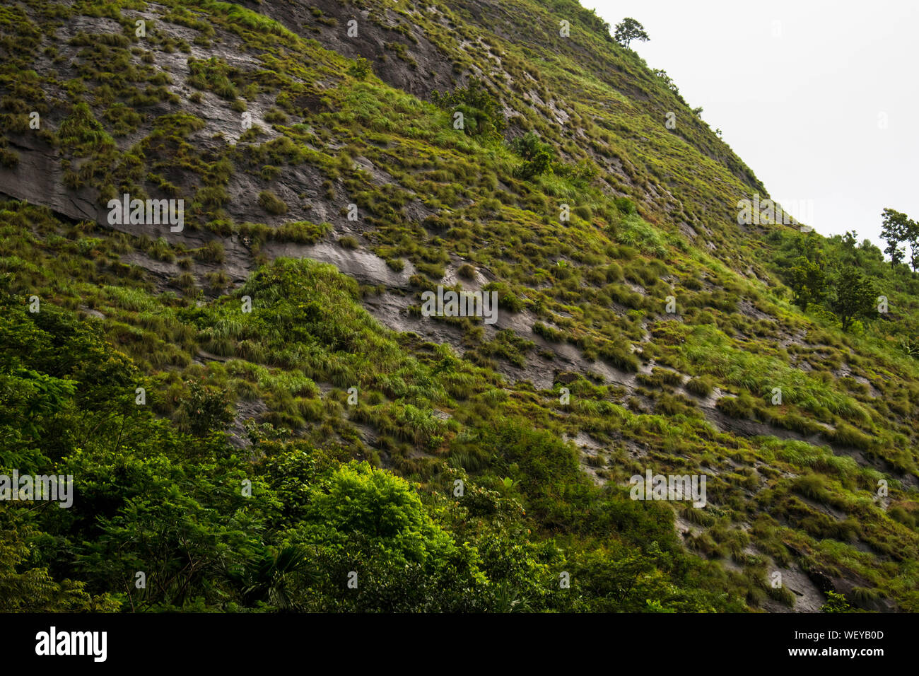 La Grande Charte verte des chaînes de montagnes. Entouré de sommets des plantes vertes et un fond de ciel bleu. Très semblables à ceux trouvés dans les Himalaya et Western Ghats Banque D'Images