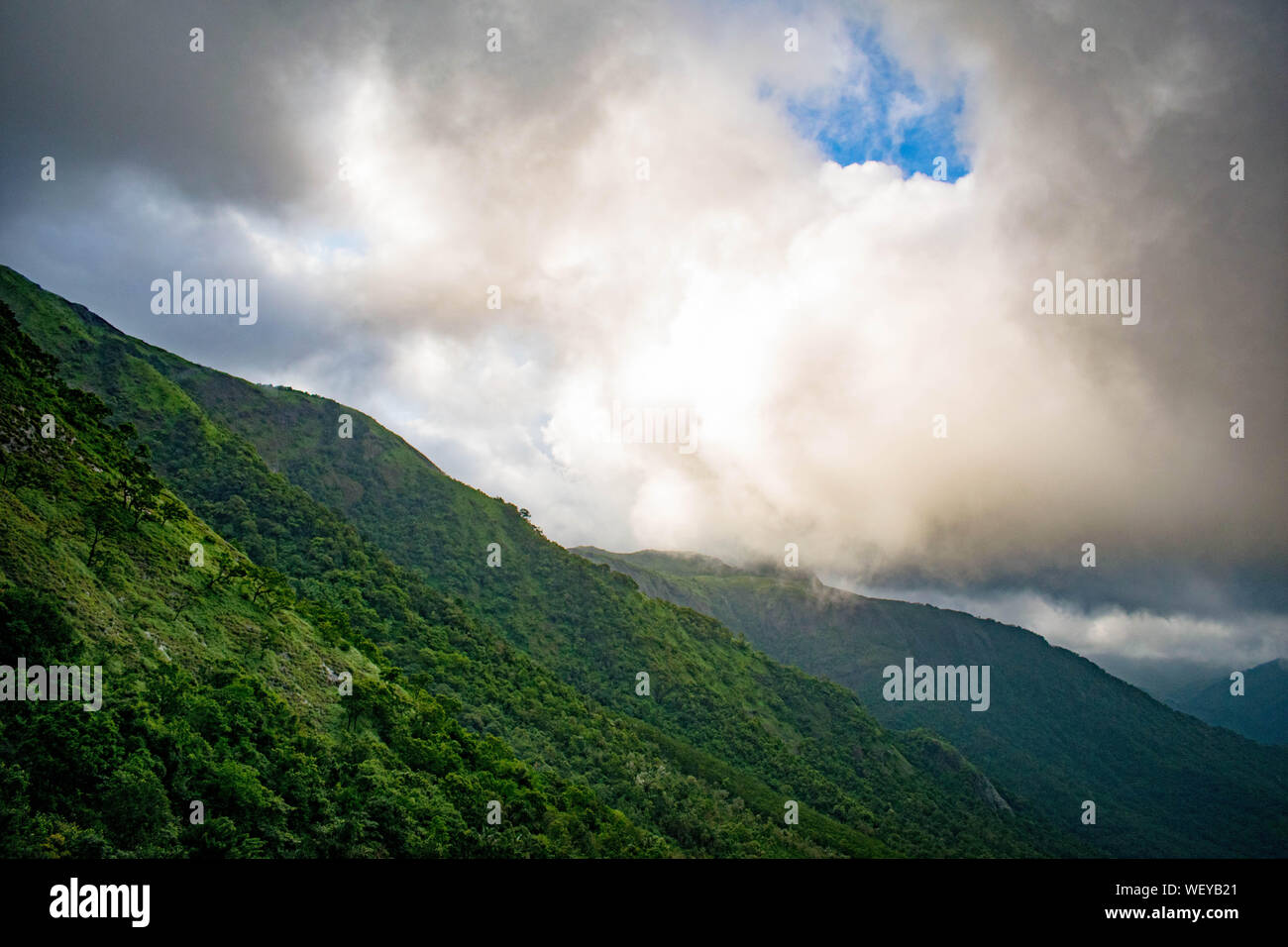 La Grande Charte verte des chaînes de montagnes. Entouré de sommets des plantes vertes et un fond de ciel bleu. Très semblables à ceux trouvés dans les Himalaya et Western Ghats Banque D'Images