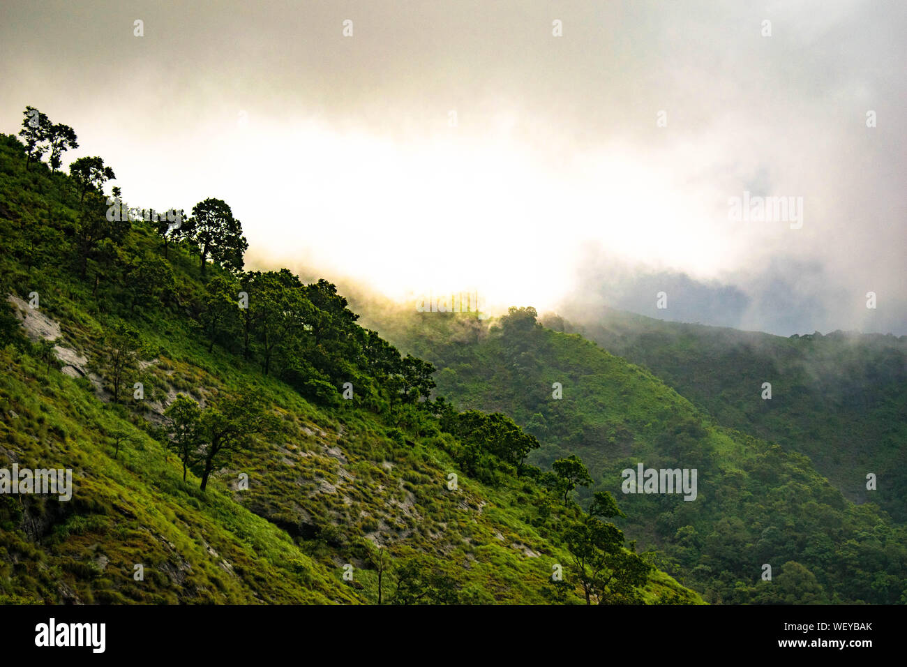 La Grande Charte verte des chaînes de montagnes. Entouré de sommets des plantes vertes et un fond de ciel bleu. Très semblables à ceux trouvés dans les Himalaya et Western Ghats Banque D'Images