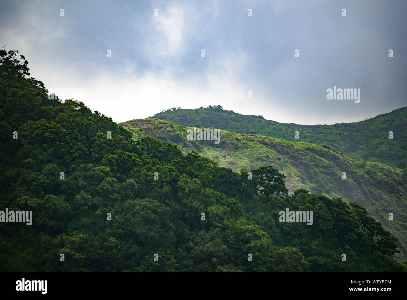 La Grande Charte verte des chaînes de montagnes. Entouré de sommets des plantes vertes et un fond de ciel bleu. Très semblables à ceux trouvés dans les Himalaya et Western Ghats Banque D'Images