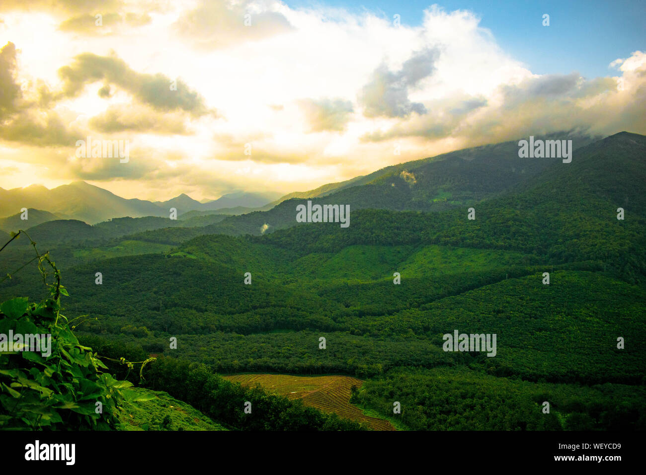 La Grande Charte verte des chaînes de montagnes. Entouré de sommets des plantes vertes et un fond de ciel bleu. Très semblables à ceux trouvés dans les Himalaya et Western Ghats Banque D'Images