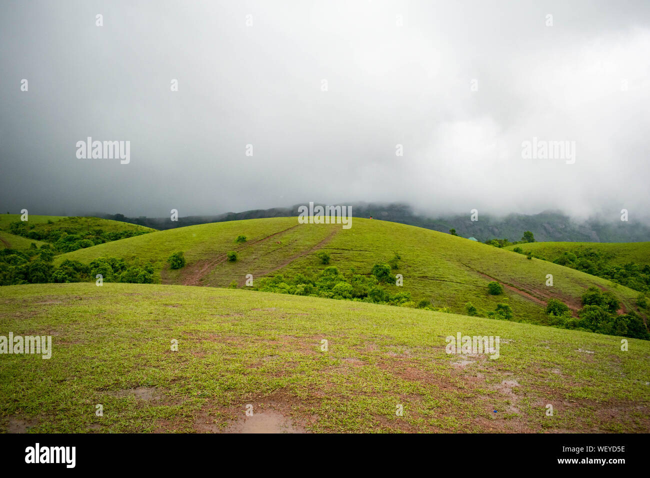 Vagamon collines qui sont célèbres dans les Ghâts occidentaux de l'Idukki, Kerala. Montagnes Vertes Banque D'Images