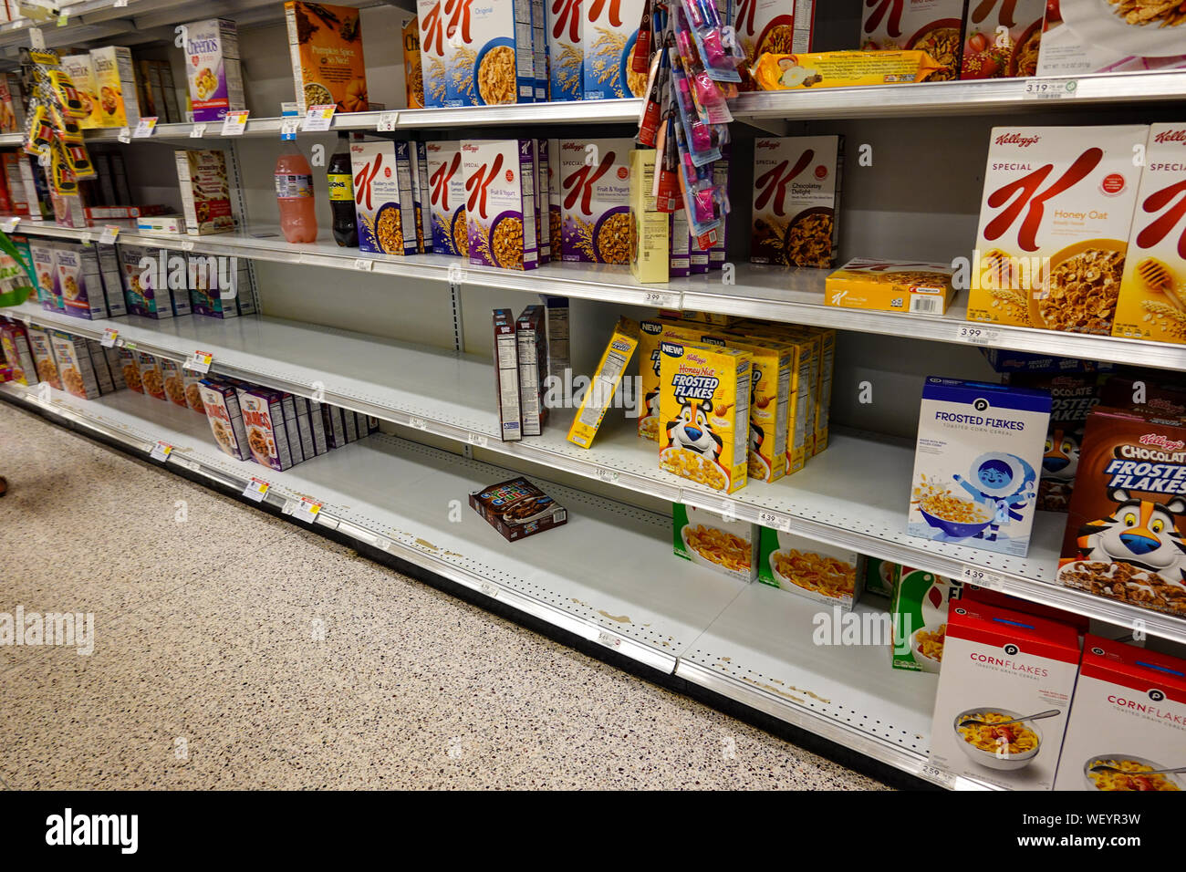 Orlando, FL/USA-8/30/19 : épicerie vide avant de céréales un ouragan ou une tempête de neige. Banque D'Images