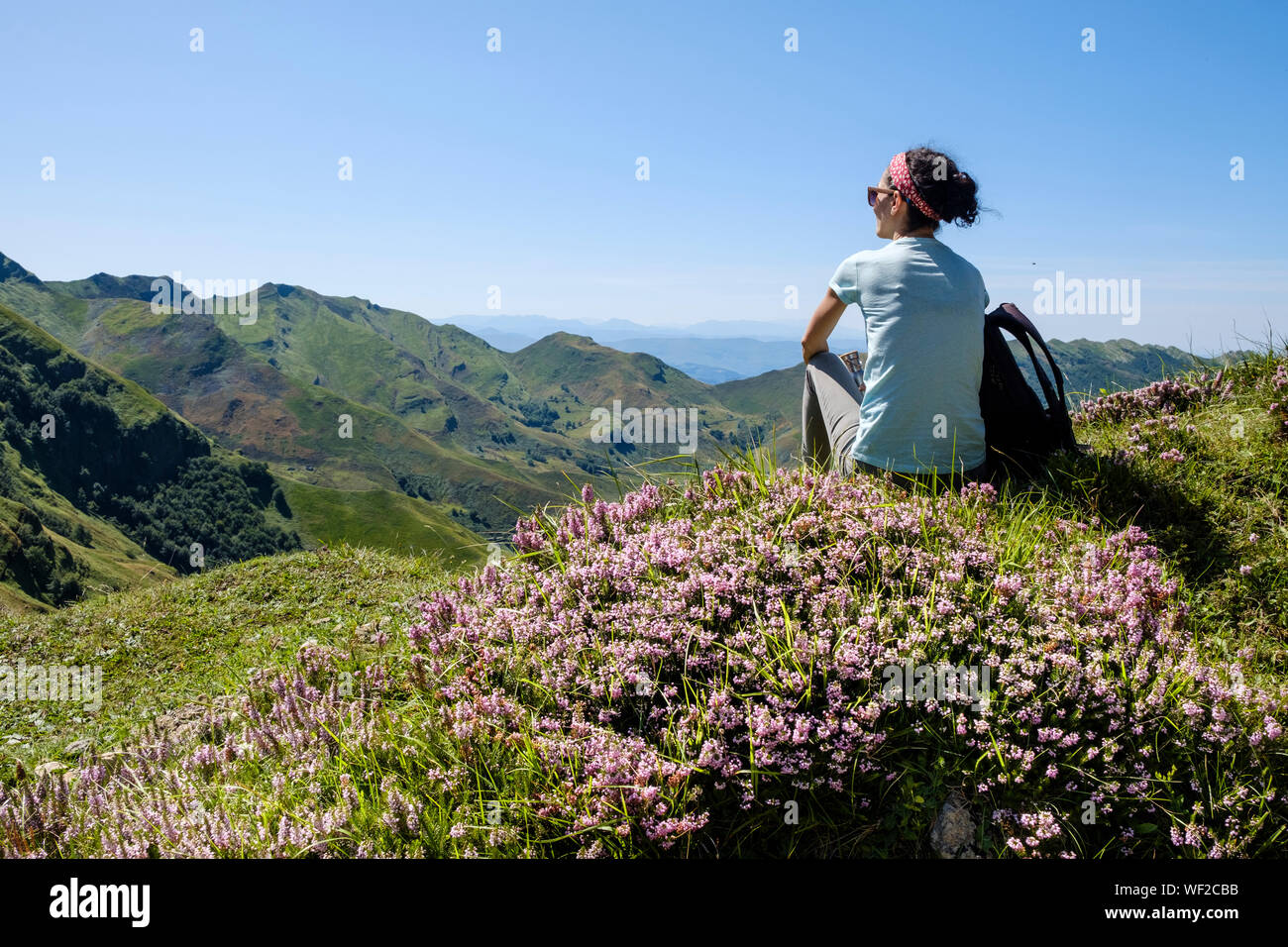 Elle jouit d'un magnifique paysage de haute montagne entourée de magnifiques fleurs sauvages à Alto Valle del Miera, Cantabria, ESPAGNE Banque D'Images