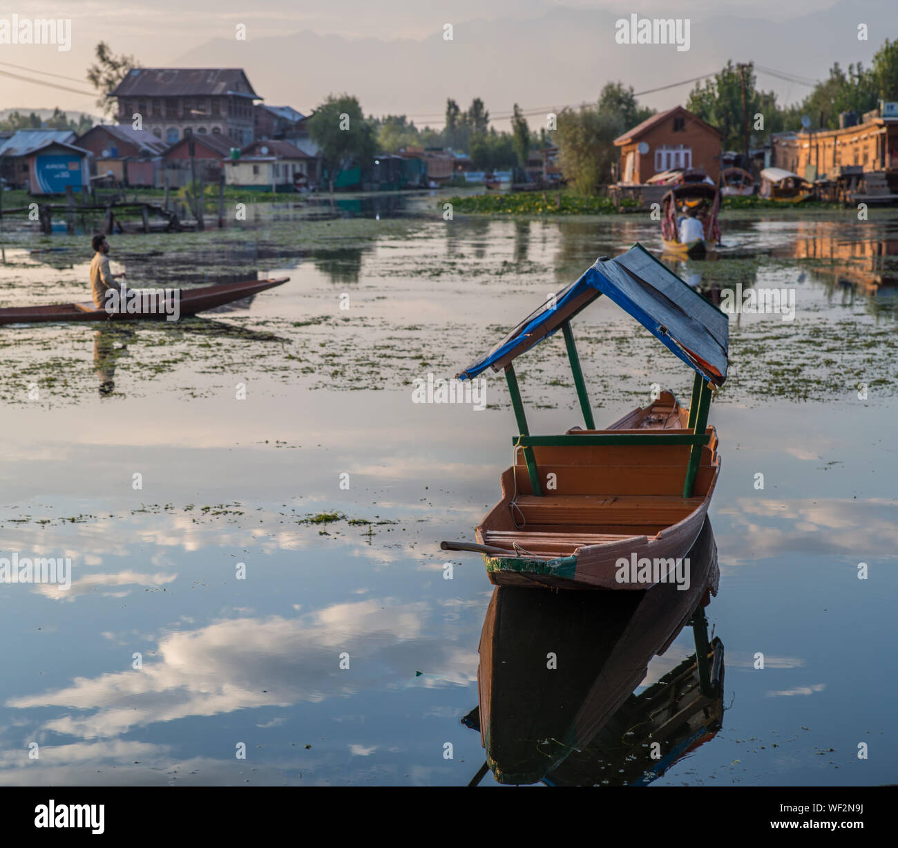 Vue d'un Shikara dans le lac Dal à Srinagar sur une fin d'après-midi. Banque D'Images