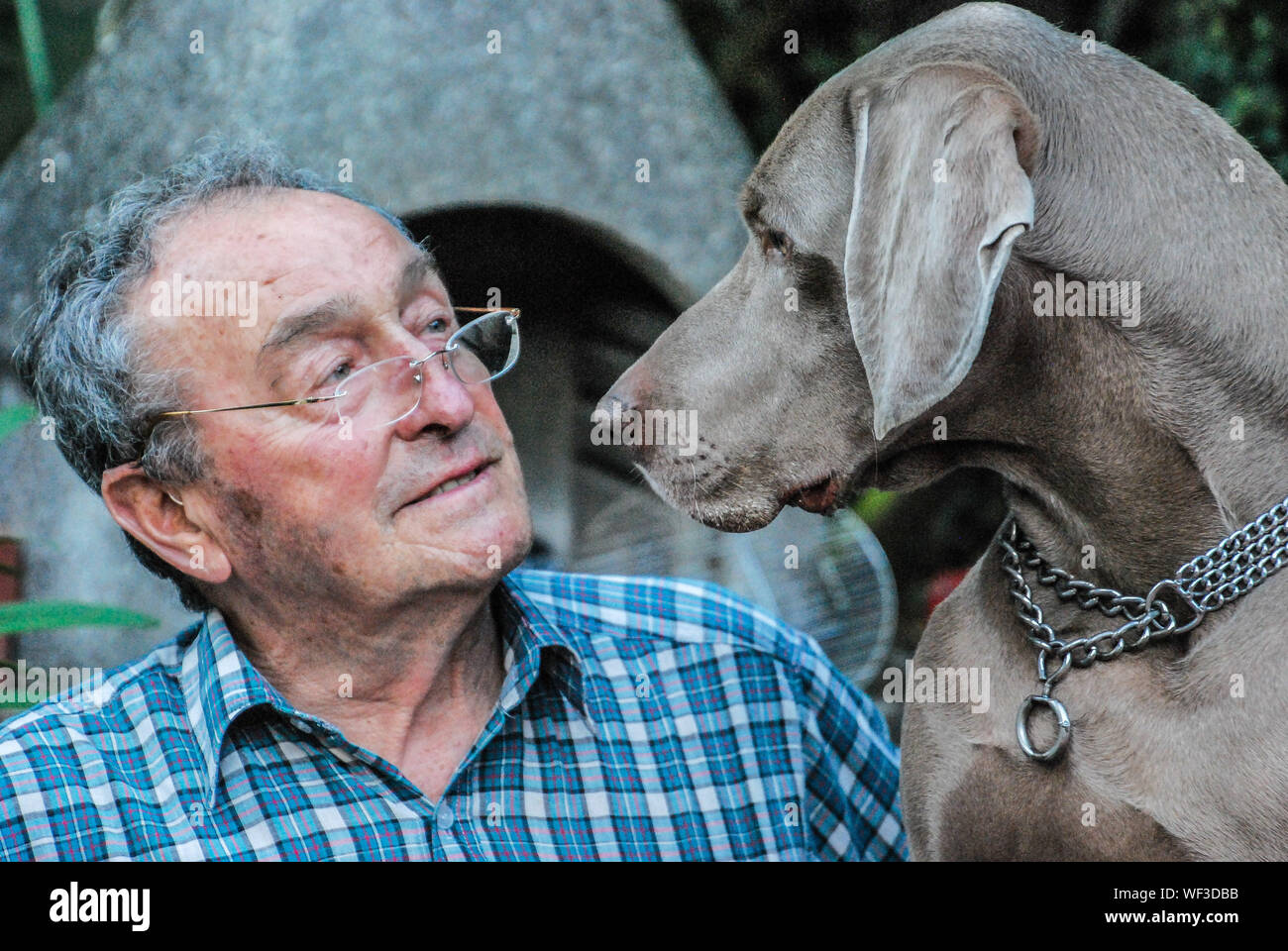 Vieil homme et chien Banque de photographies et d’images à haute