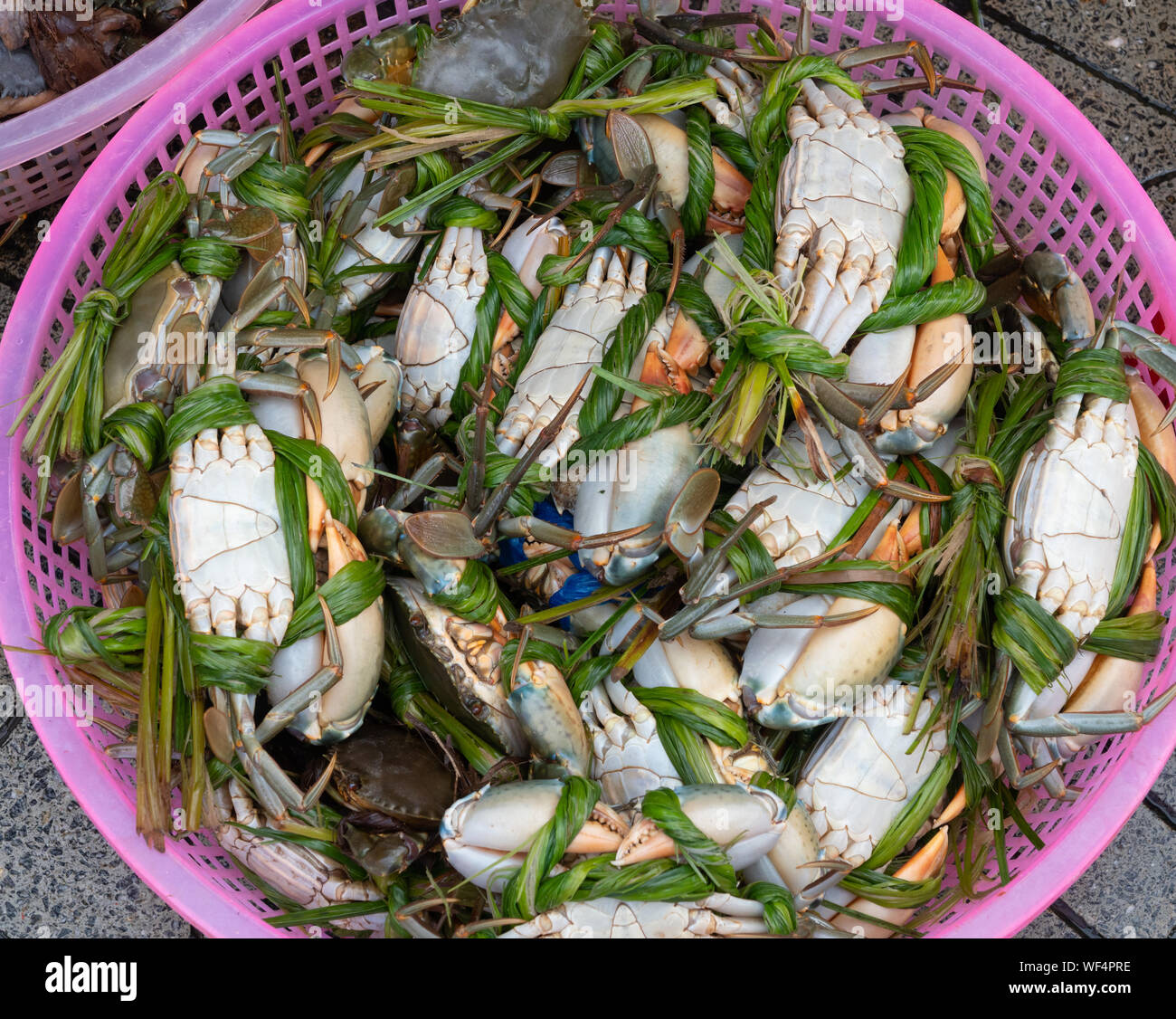 Panier en plastique rose contenant des crabes à carapace molle à vendre dans un marché en plein air à Hoi An au Vietnam. Banque D'Images