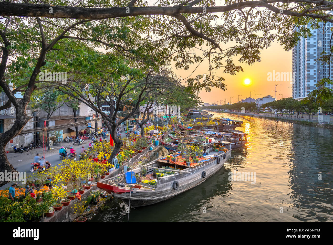 Marché aux fleurs quai bateau au coucher du soleil le long du quai du canal. C'est placer les agriculteurs à vendre abricot et d'autres fleurs sur Nouvel An lunaire à Ho Chi Minh Ville, Vietnam Banque D'Images