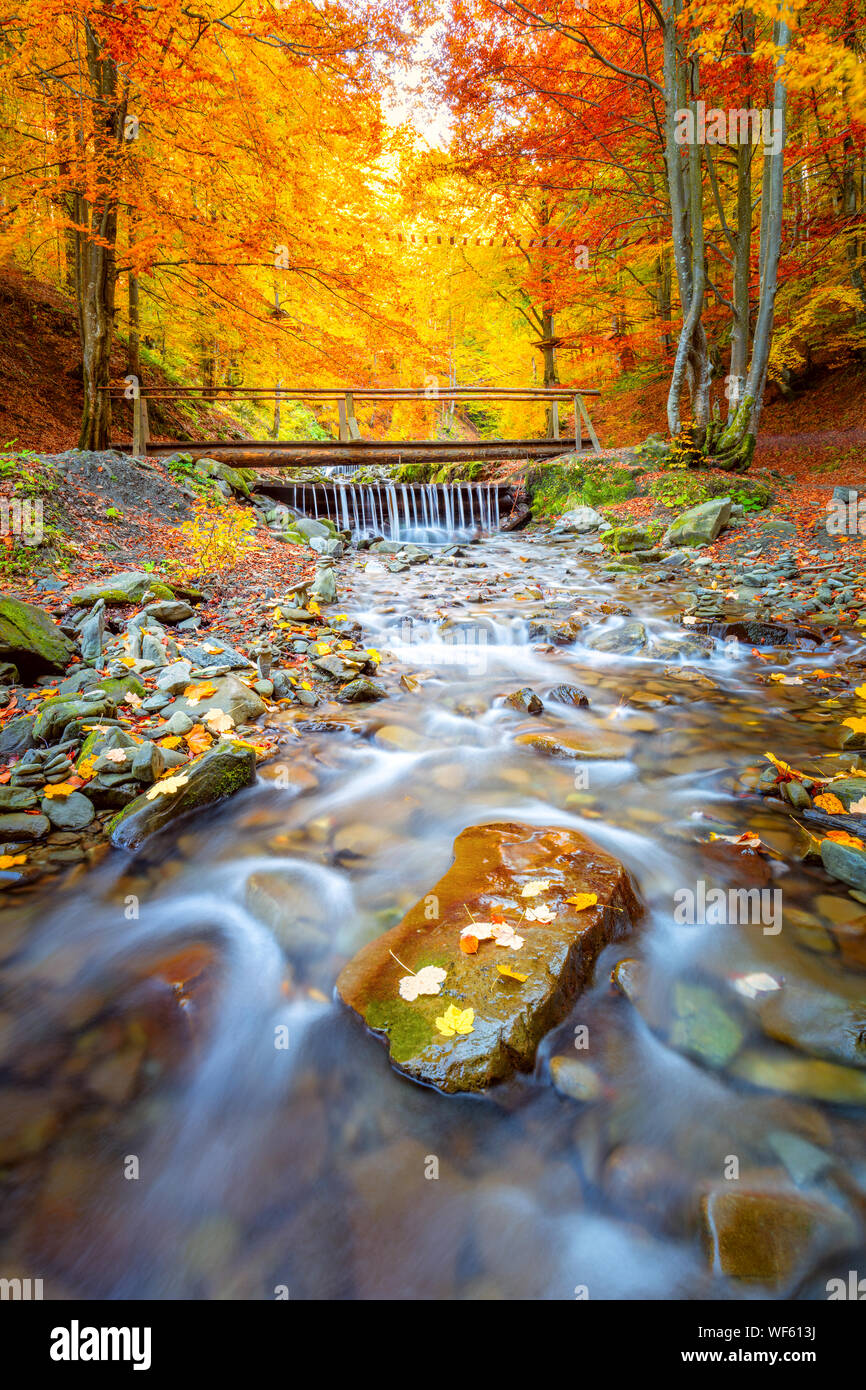 Vieux pont en bois fnd river cascade dans le parc de la forêt d'automne avec des feuilles jaunes et pierre, paysage d'automne Banque D'Images