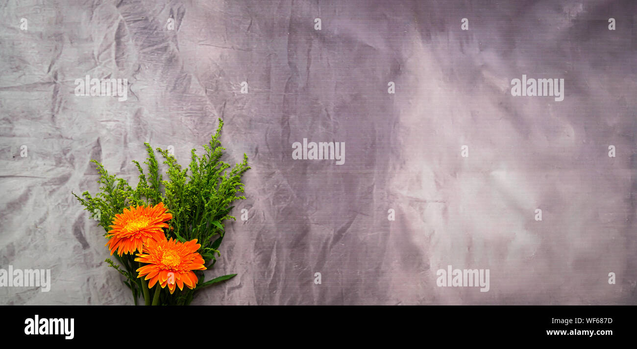 Gerbera Orange Daisy flowers on grunge background Banque D'Images