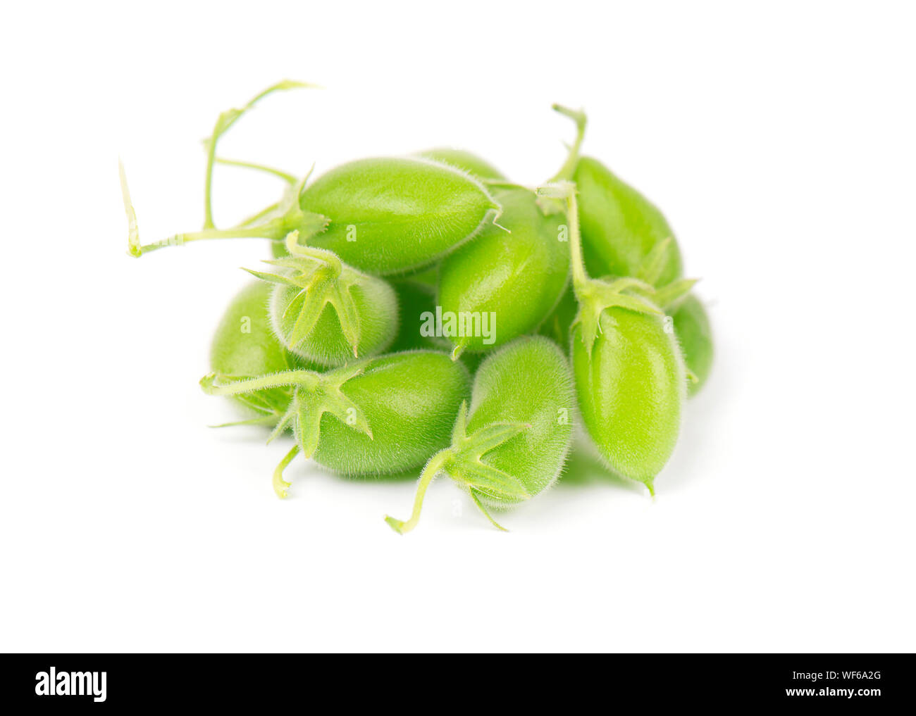 Pois chiches verts dans le pod isolé sur fond blanc Banque D'Images