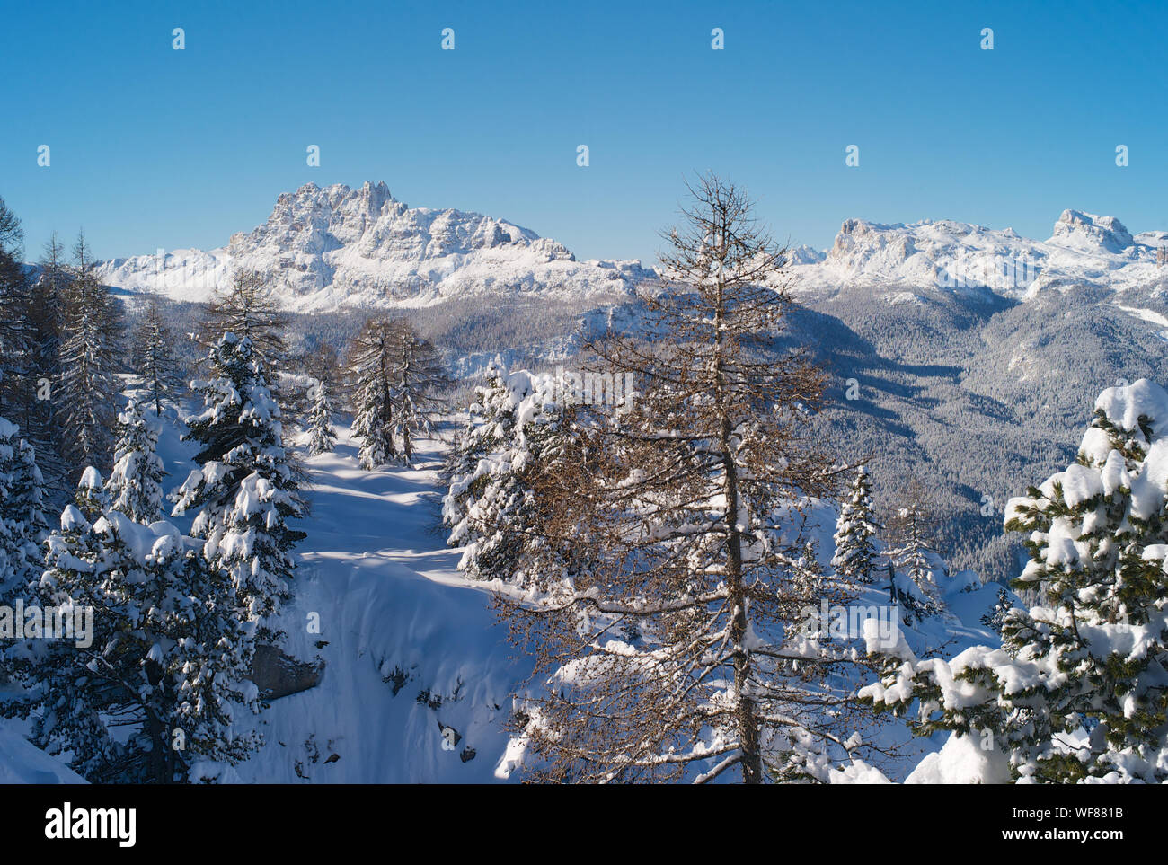 Enchanté, romantique et belle montagne paysage d'hiver avec de la neige et d'arbres sur, Faloria Cortina d Ampezzo, Belluno, Italie Banque D'Images