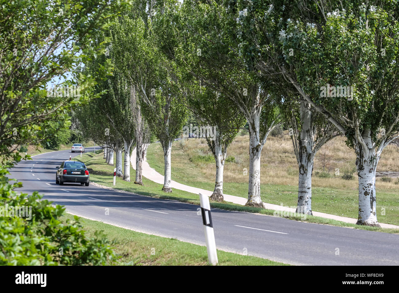 Lac Balaton, Hongrie le 03 août 2019 Credit Ilona Barna, BIPHOTONEWS, Alamy Banque D'Images