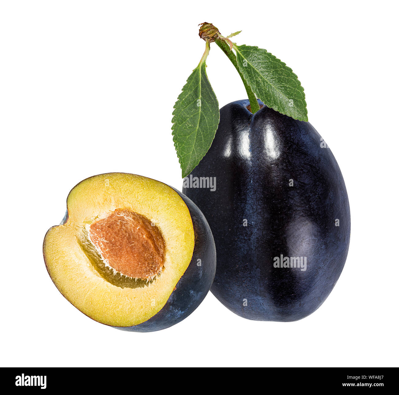 Prune sur fond blanc Banque D'Images