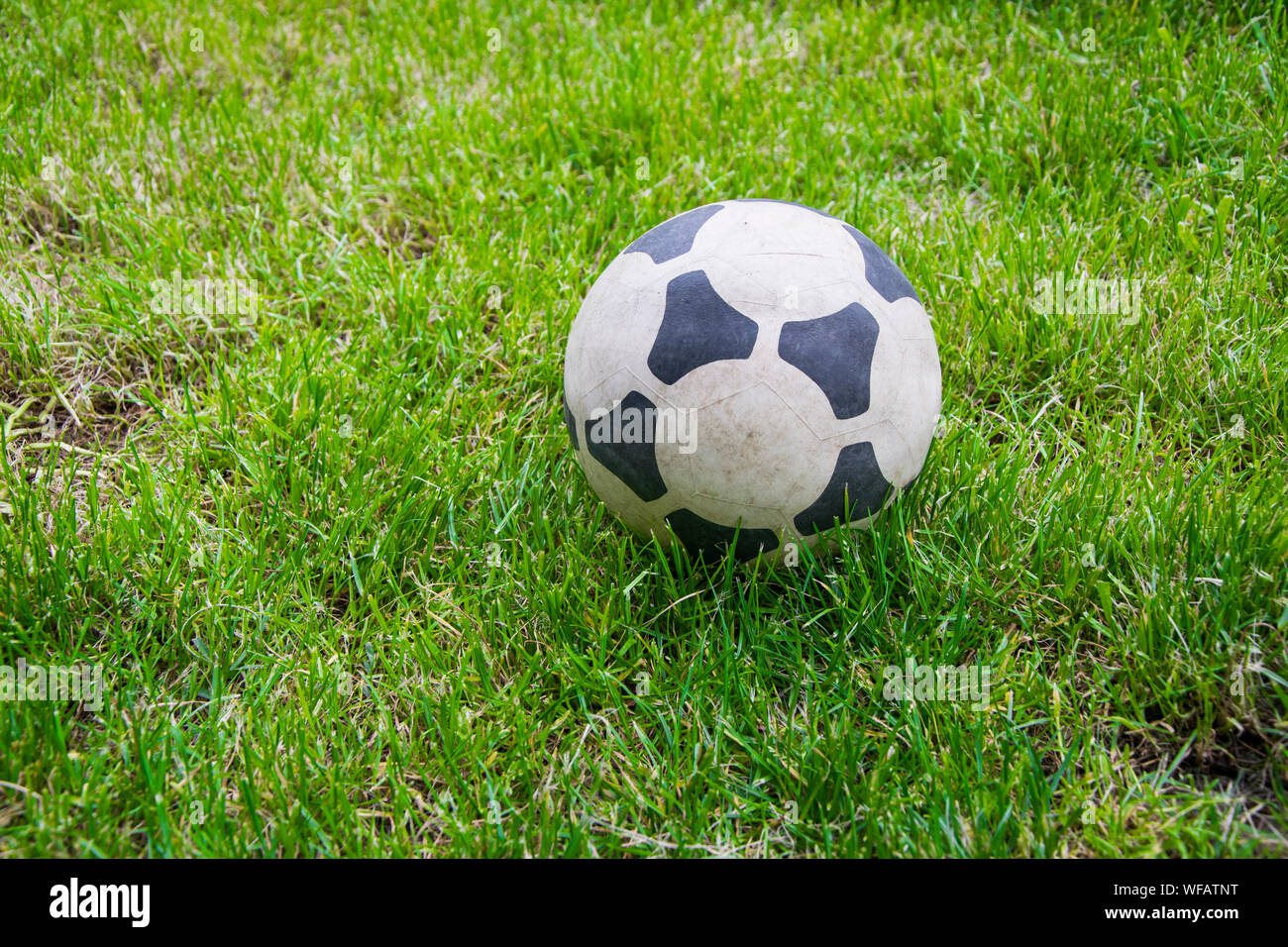 Ballon de soccer sur le terrain herbeux Banque D'Images
