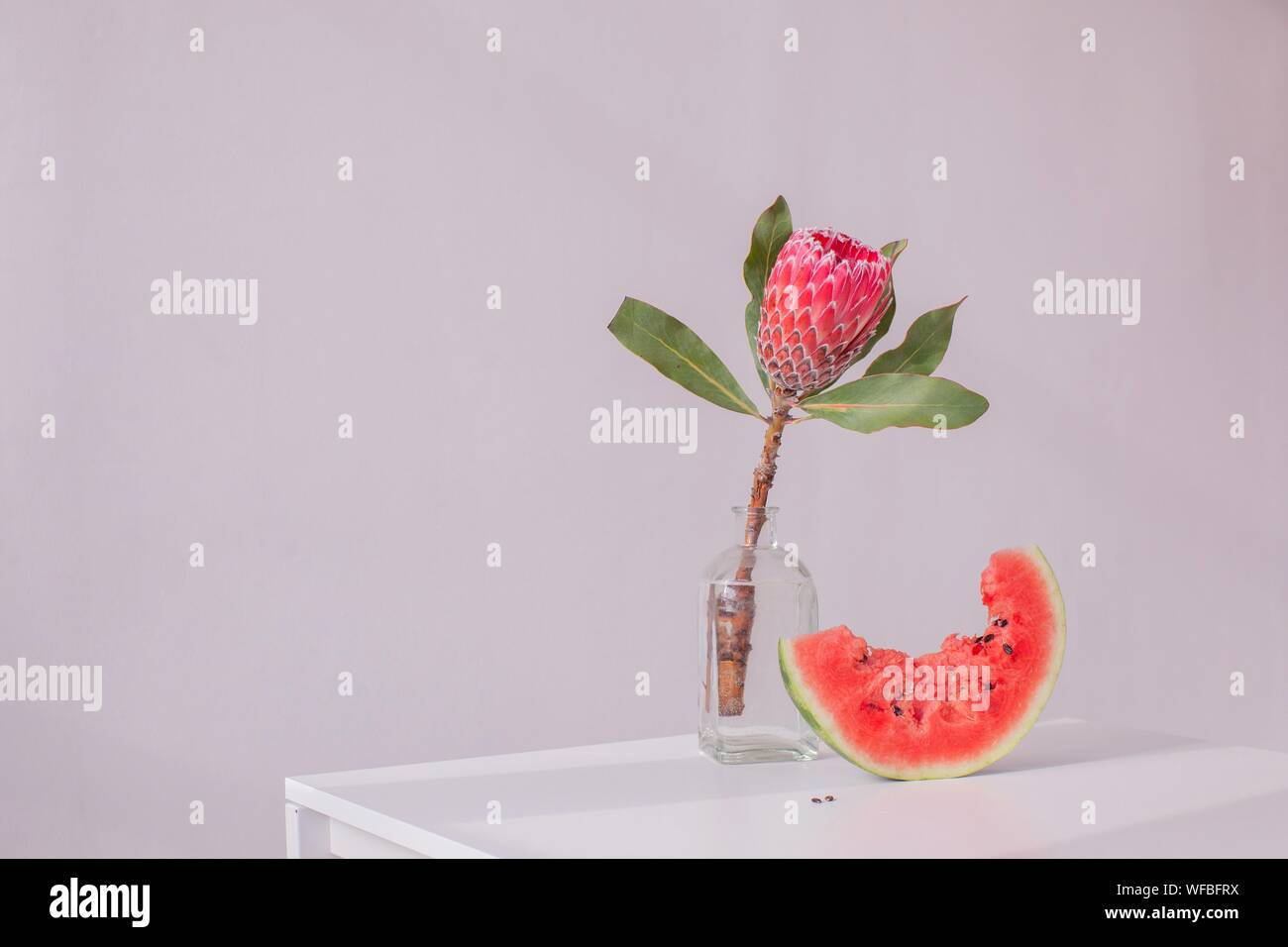 Protea Flower dans un vase à côté d'une tranche de pastèque Banque D'Images