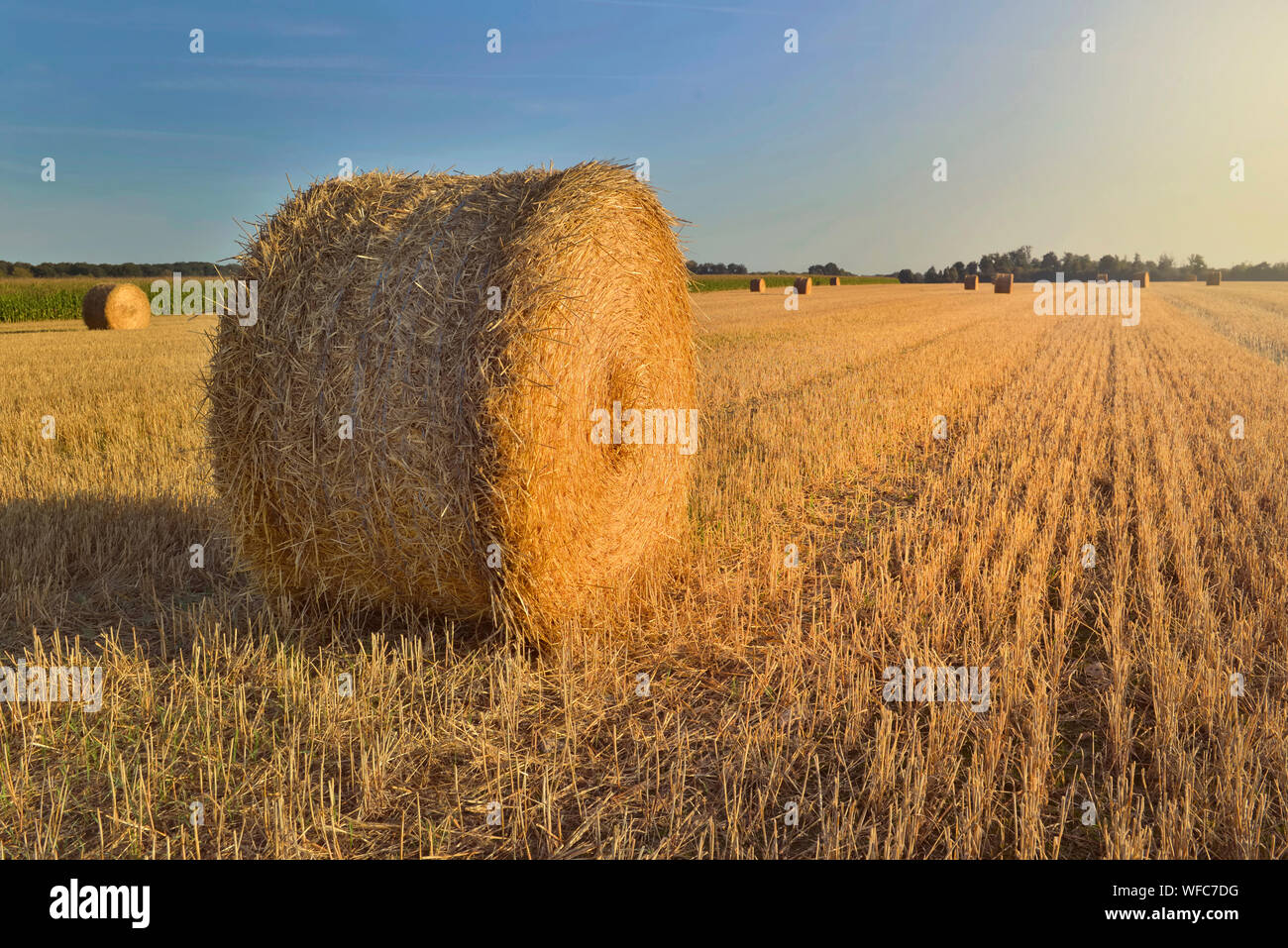 Avec un paysage rural pittoresque haybale dans un champ au coucher du soleil Banque D'Images