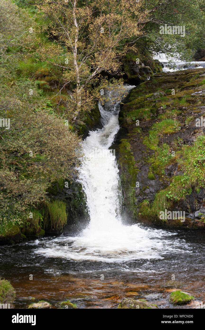Cascade et piscine près de Inchnadamph, Scottish Highlands, Ecosse, îles Britanniques, UK Banque D'Images