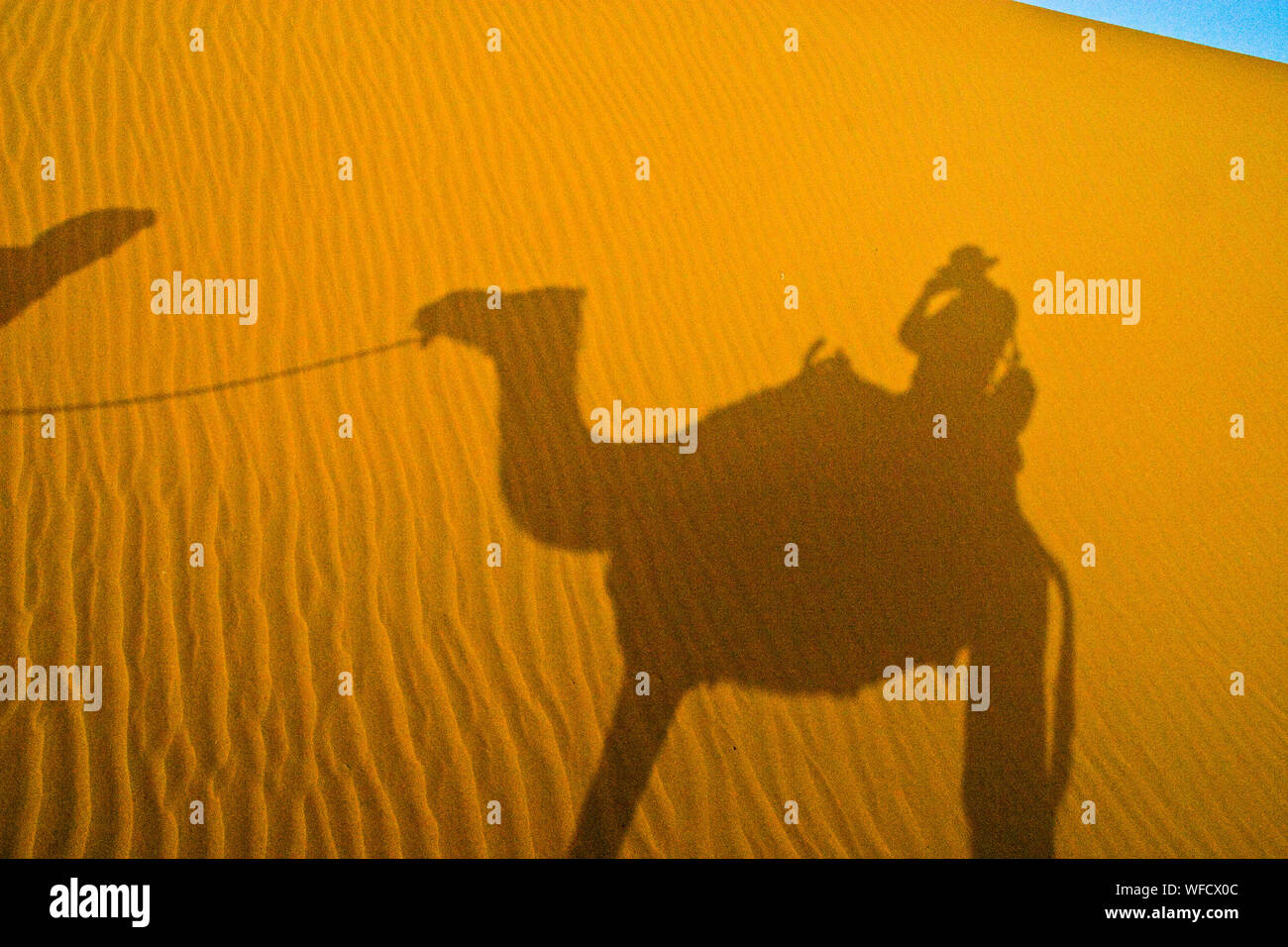 Ombre de l'homme à dos de chameau dans le Desert Photo Stock - Alamy