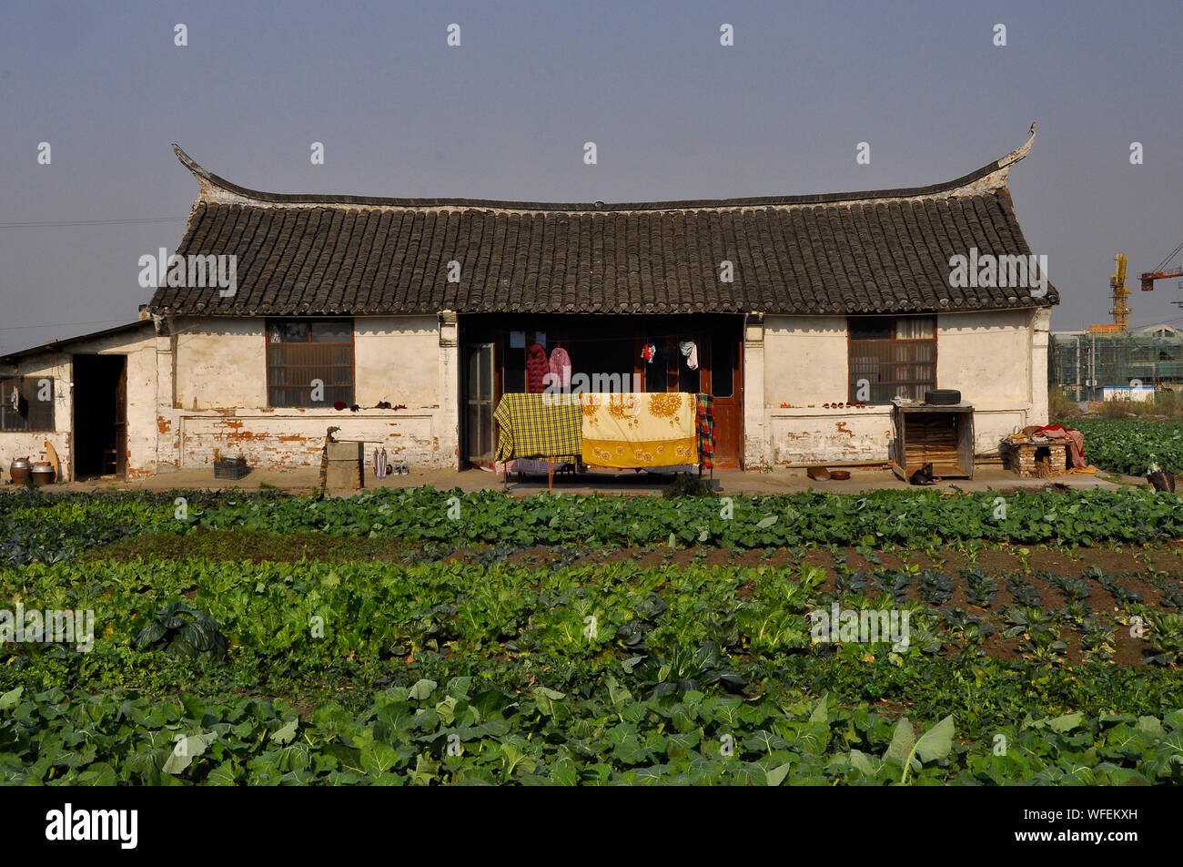 Une ferme traditionnelle chinoise passible d'être démoli comme Développement des capacités prend le dessus. L'Est de la Chine, Nantong, Province du Jiangsu, Chine Banque D'Images