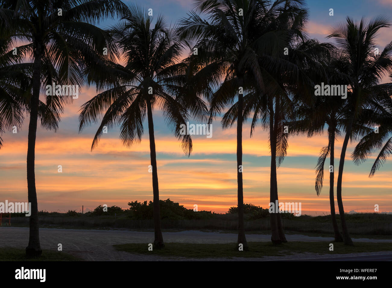 Silhouette de palmiers sur Miami Beach au lever du soleil Banque D'Images