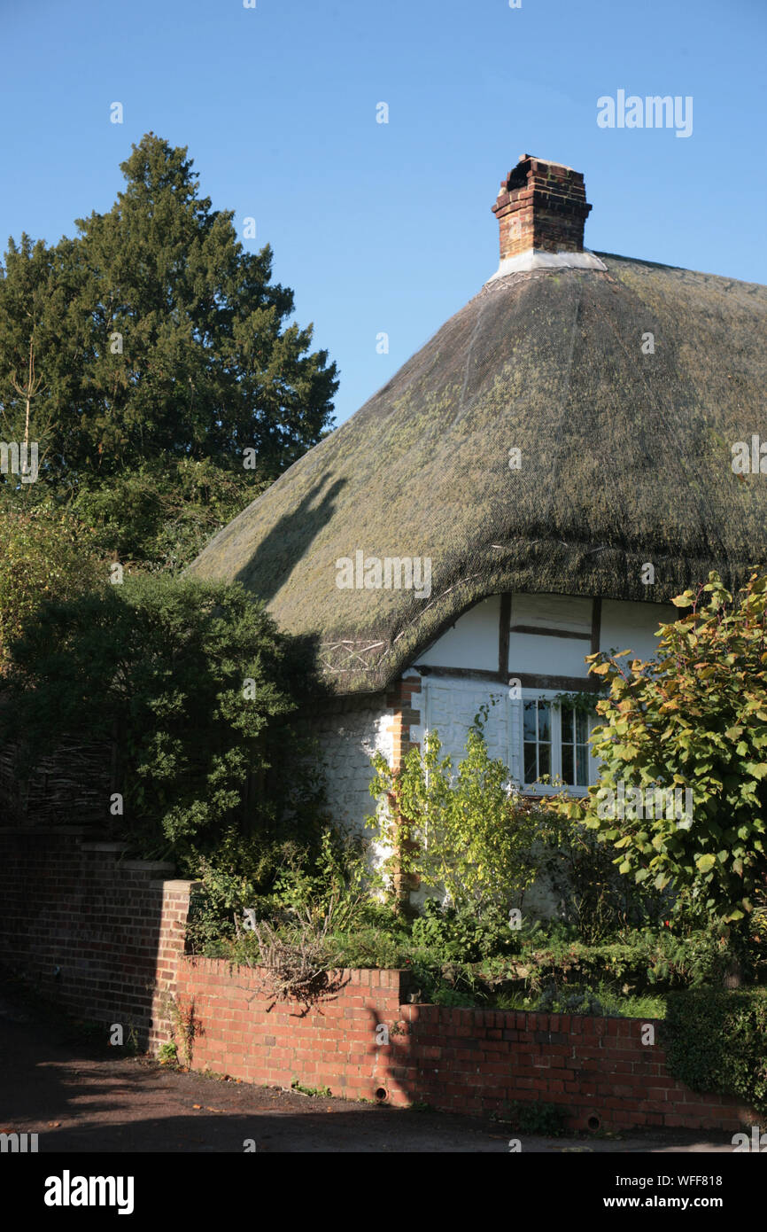 Chaumière sur la High Street, Selborne, Hampshire, Royaume-Uni Banque D'Images