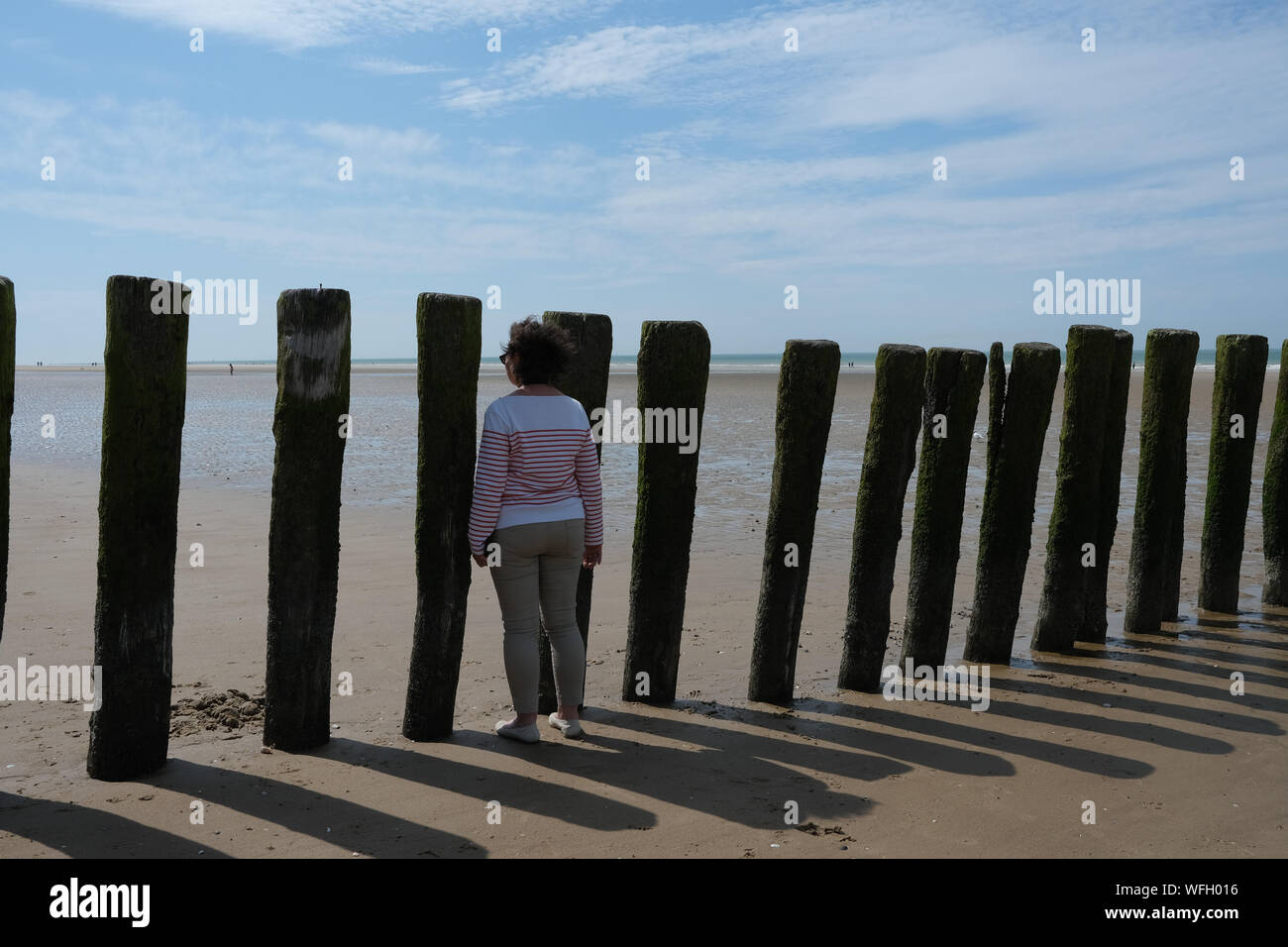 Woman standing on beach à l'intermédiaire de poteaux en bois, Calais, Pas-de-Calais, France Banque D'Images