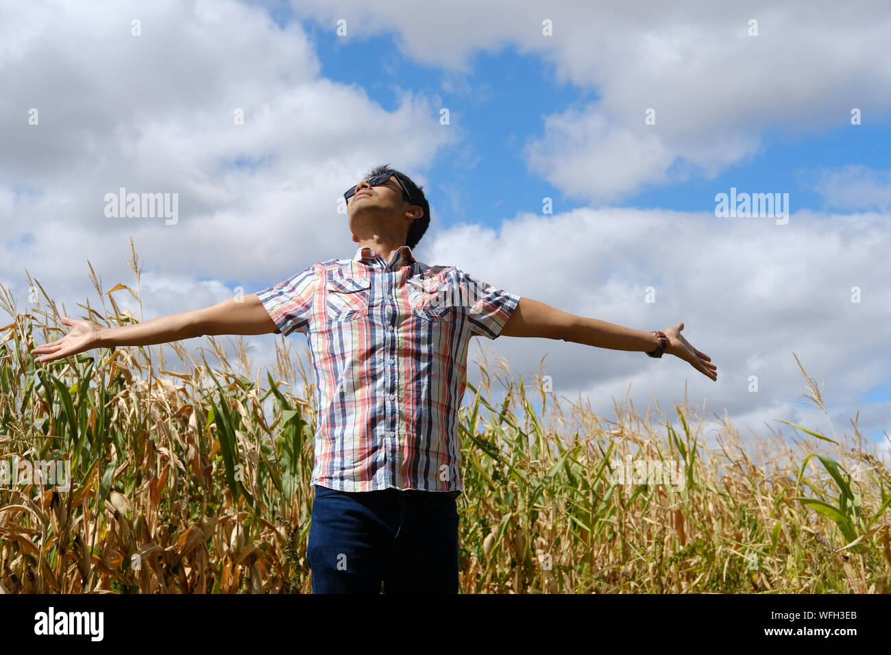 Homme debout, dans un champ avec ses bras tendus, France Banque D'Images