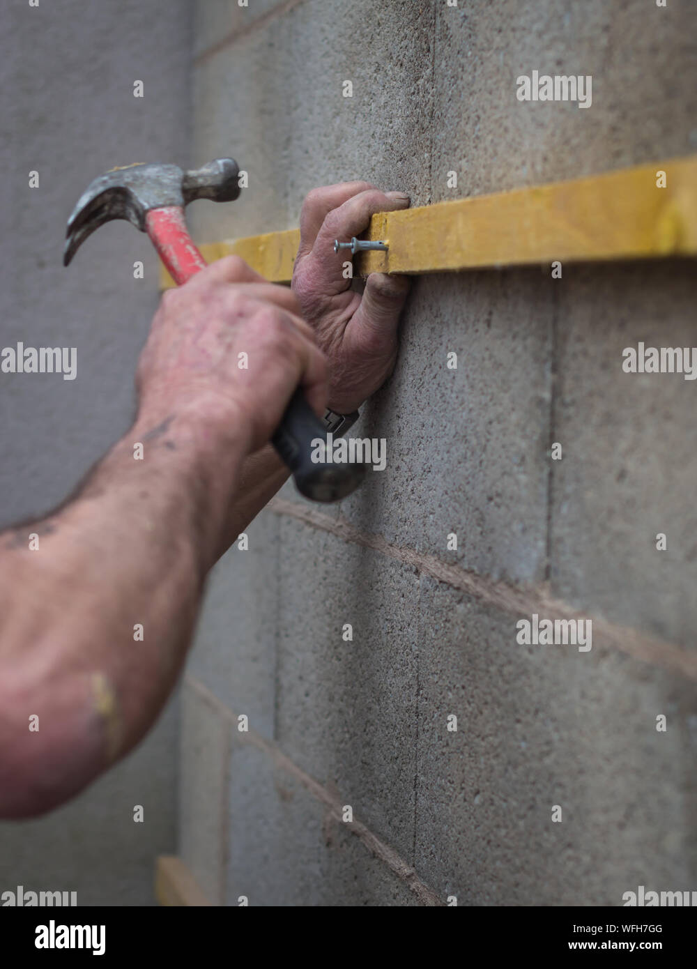 Cropped Hand Of Man Hammering Nail dans le bois sur le mur à la maison Banque D'Images