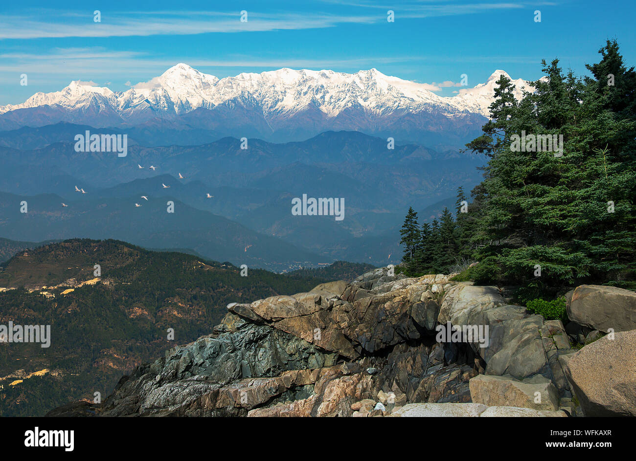 Garhwal de montagnes de l'Himalaya vu de l'Uttarakhand en Inde Binsar Wildlife Sanctuary. Banque D'Images