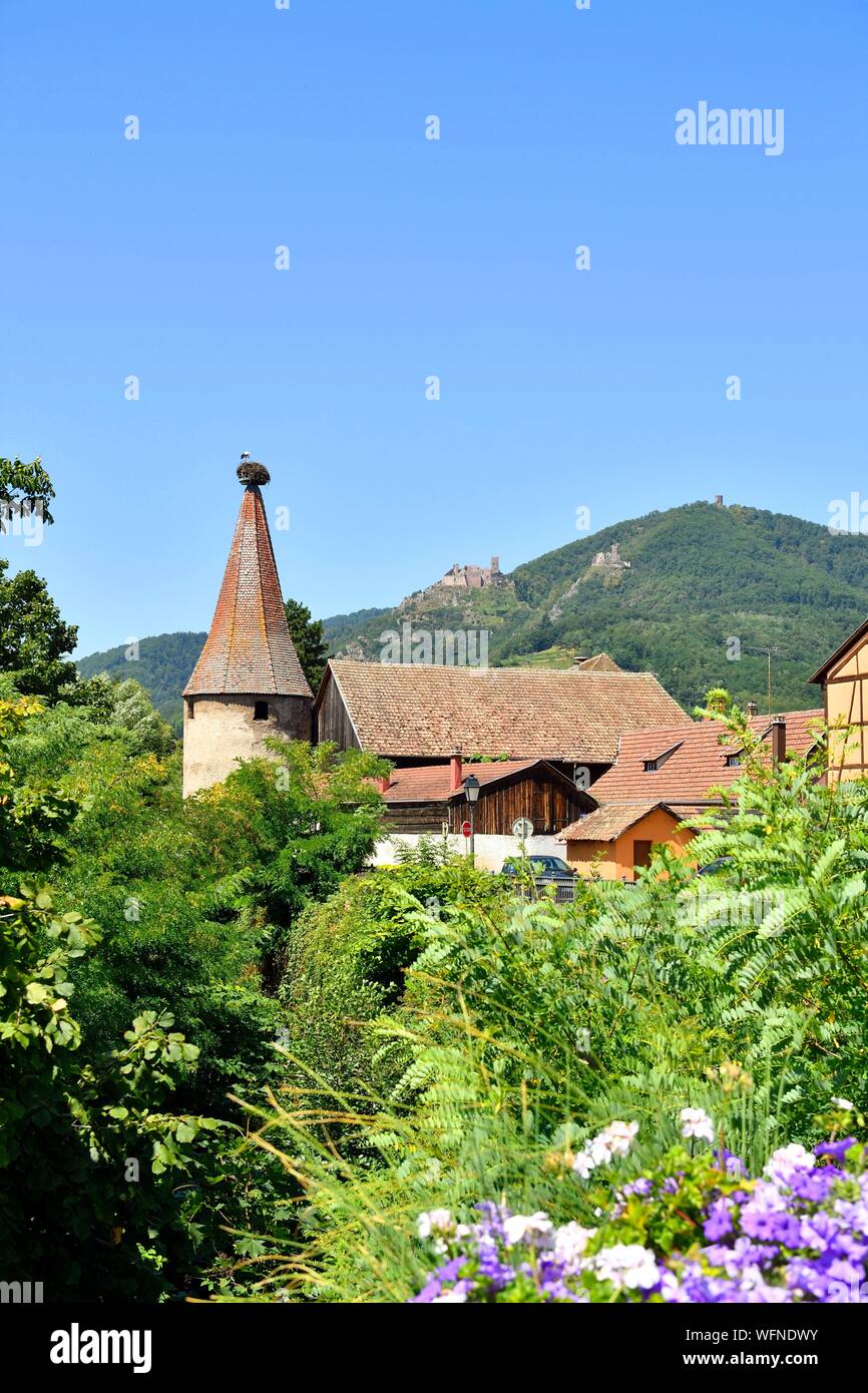 La France, Haut Rhin, Alsace, Ribeauvillé, Stork Tower (Tour des Cigognes), dans l'arrière-plan St Ulrich Castle et Château Girsberg Banque D'Images