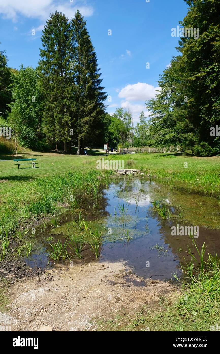 France, Côte d'Or, source seine, site de la sources de la Seine Banque D'Images