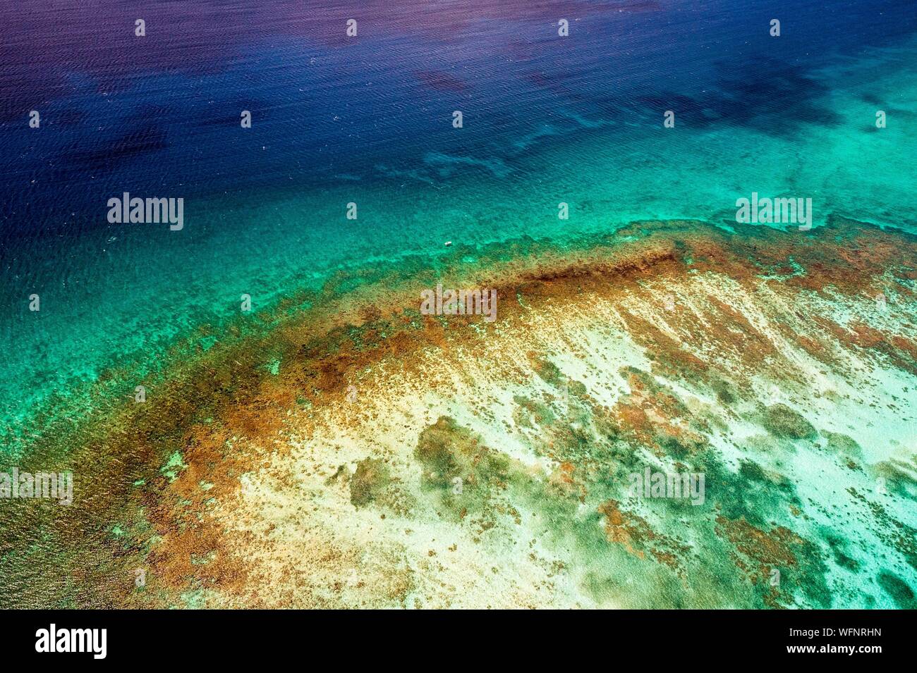 France, Caraïbes, Petites Antilles, la Guadeloupe, Grand Cul-de-Sac Marin,  coeur de la Parc National de la Guadeloupe, Basse-Terre, vue aérienne de la  barrière de corail de l'Îlet Fajou, le plus long récif